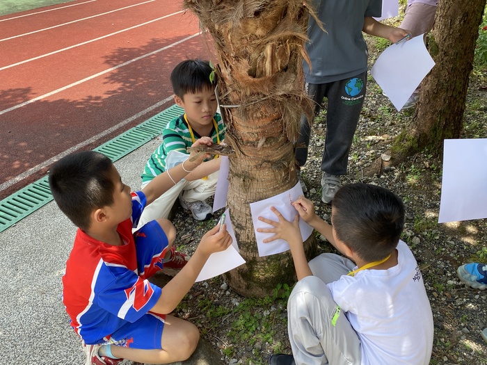 114年史懷哲梯隊精選照片圖片